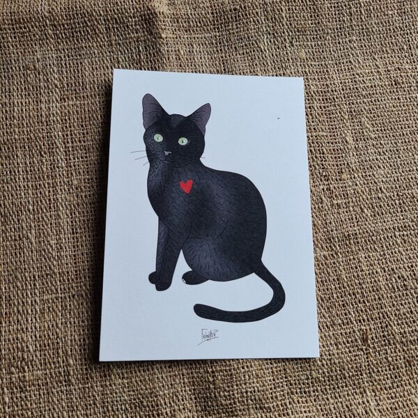 Frénéthik-carte postale-chat noir- bones