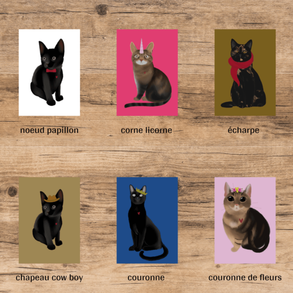 Portrait chat-animaux de compagnie-Frénéthik-Fontainebleau-Seine et marne